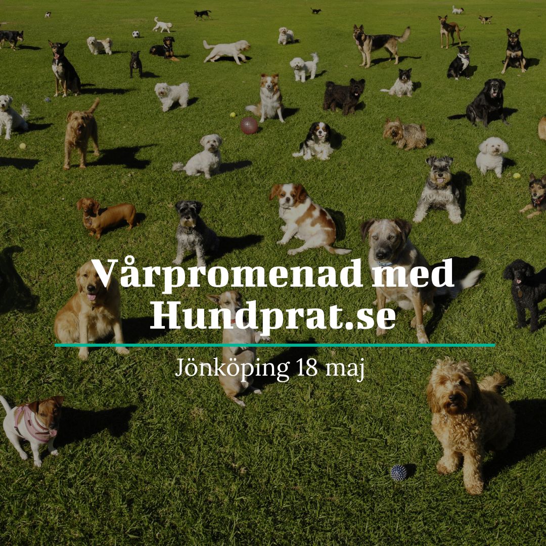 Vårpromenad2